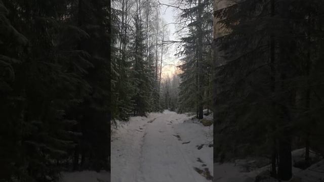 Зимняя сказка в Карелии❄️?