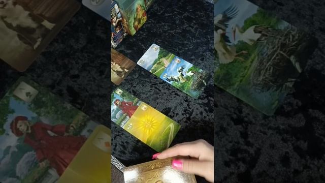 мысли чувства действия