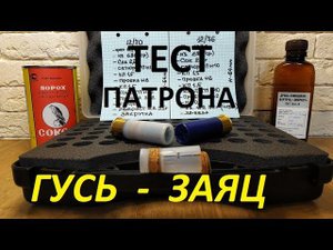 Тест патрона. Гусь-заяц. #2/35г. Сокол+Эверест.