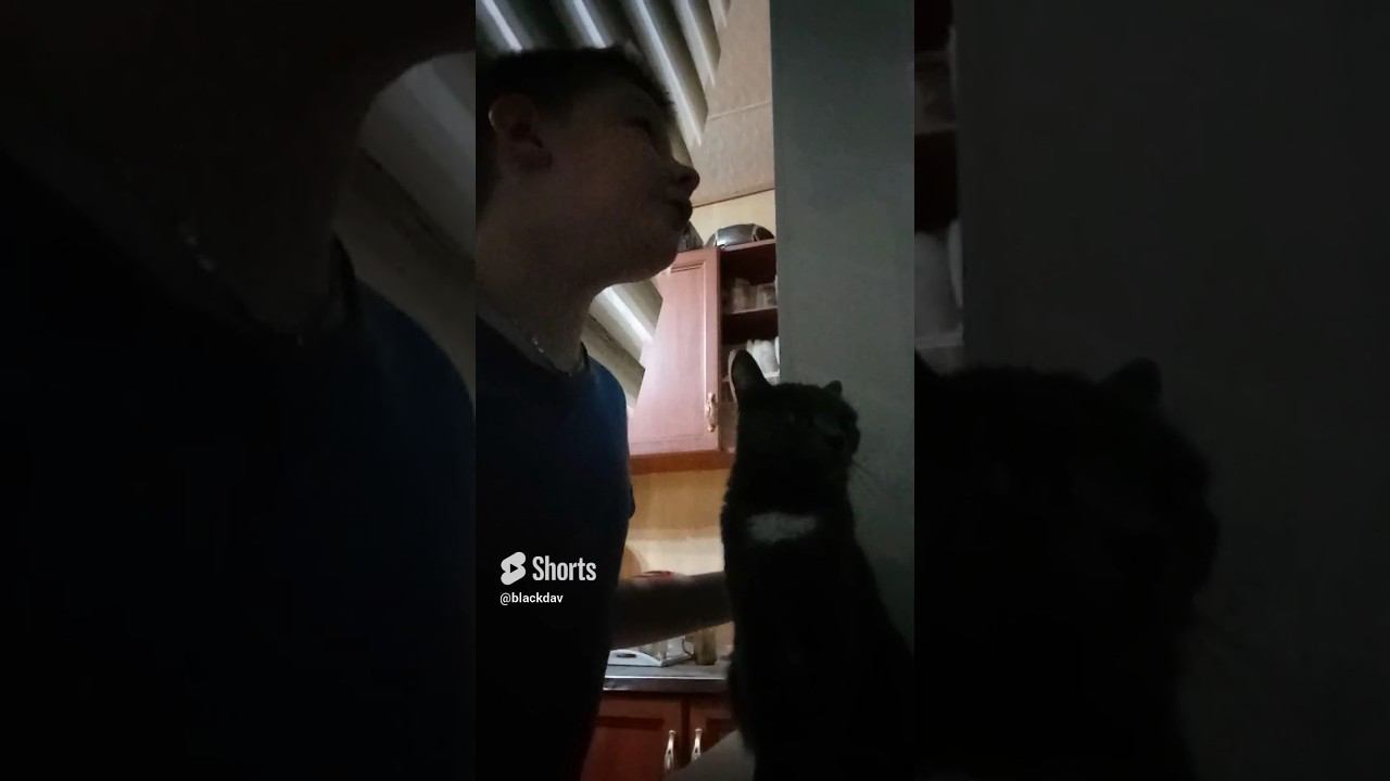 Муся пу***ла возле окна смотреть онлайн