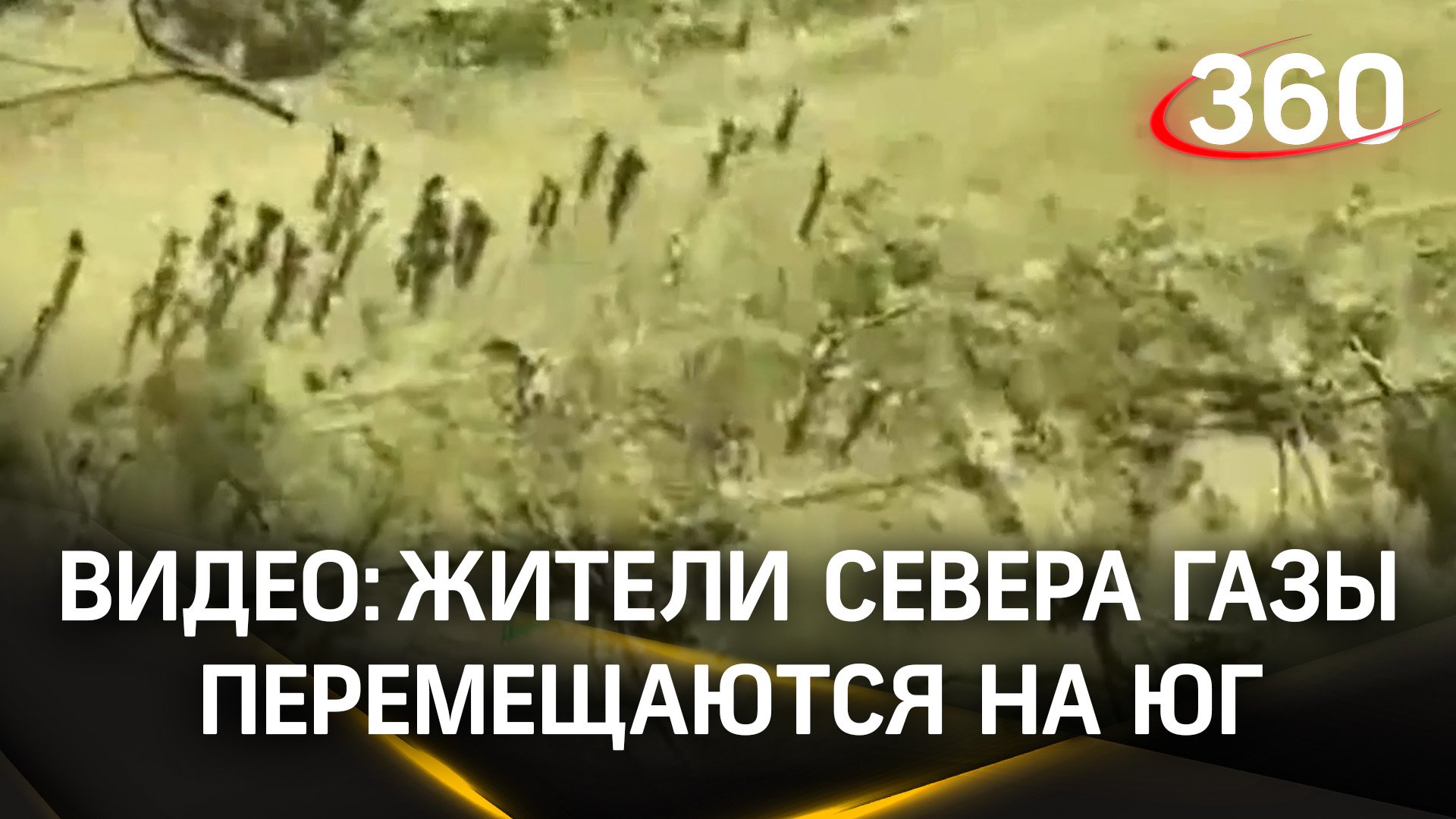 Израильская армия опубликовала кадры передвижения жителей Газы с севера на юг