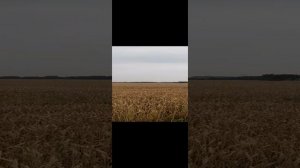 20240621_170342
