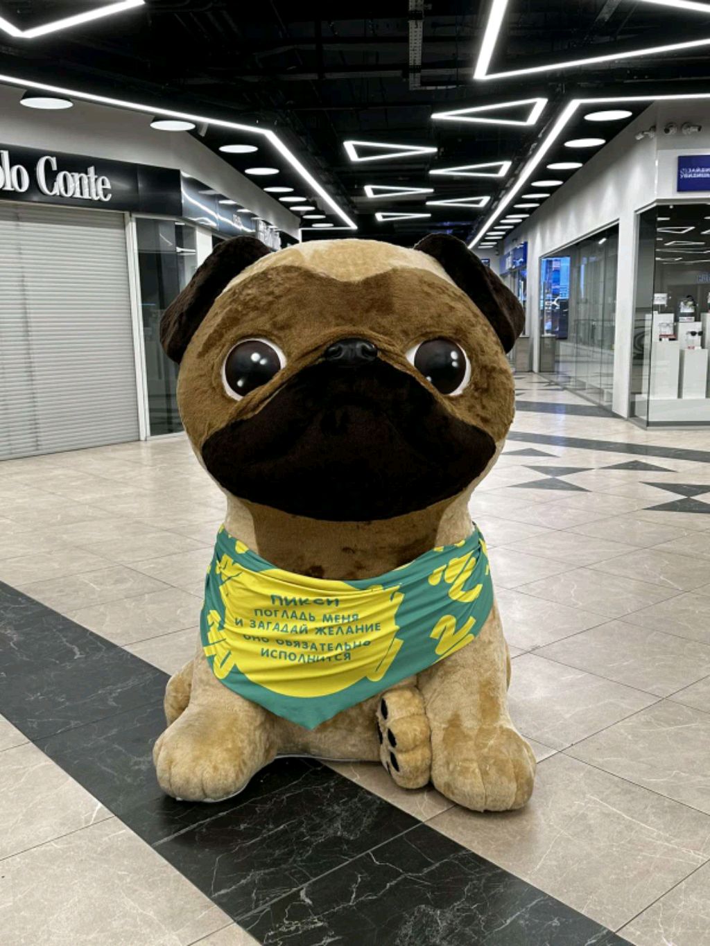 полина
