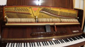 как самому настроить фортепиано (пианино, рояль)?