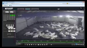 гуси делятся при входе в сарай