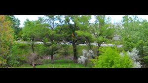 Suicideboy$, Black Smurf - Black Suicide