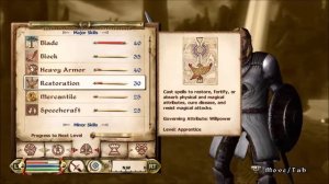 Paladin Build - Elder Scrolls IV Oblivion