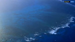 Большой барьерный риф Главное чудо Австралии. #ПопулярнаяГеография