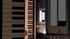 Vayenkomi dur@ bac e - Manvel Hakobyan sintezator