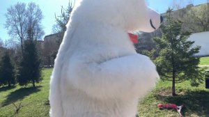 Аниматор на детский день рождения Москва