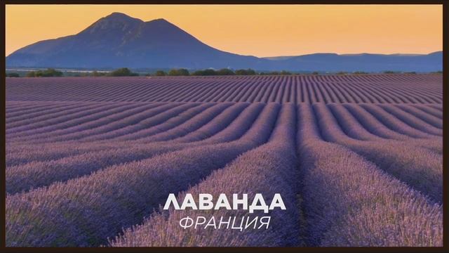 Аромио