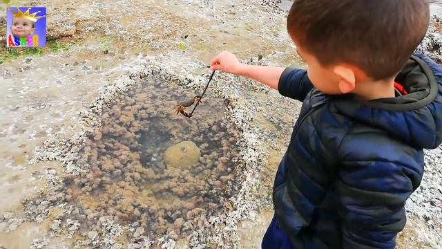 Big crab Ашер поймал больших крабов Краб нападает Атака краба смотреть онлайн