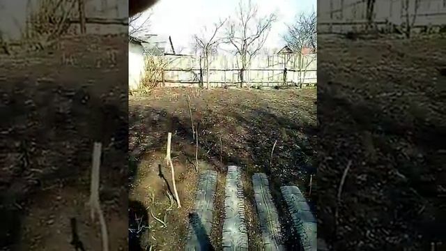 Огород, дорожки из машинной резины, высокие грядки из резины смотреть онлайн