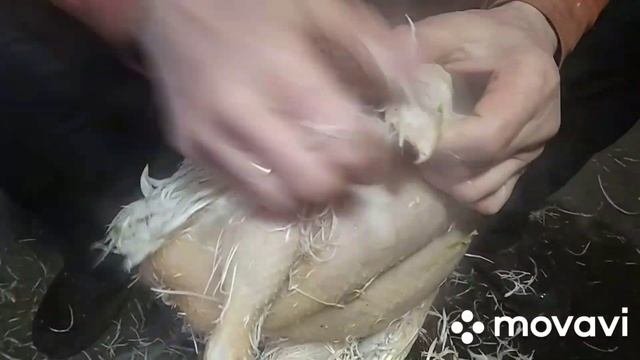 Как ощипать крупного бройлера в ручную, за пять минут!!!