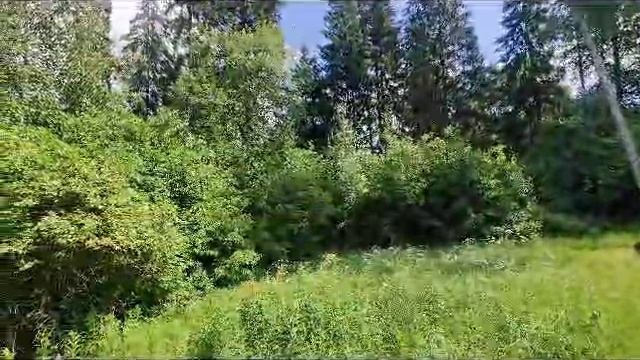 Поварово 6145