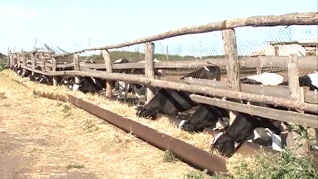 вручение медали Почета ЮА Бирюкову смотреть онлайн