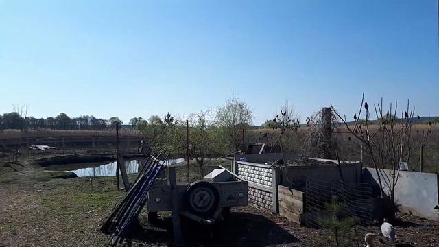 Пасха 2 мая 2021 г. смотреть онлайн