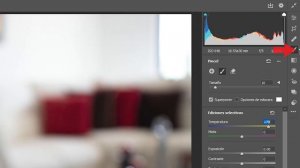 Actualización de Camera Raw para Photosohop CC en junio del 2020. ¡Esta muy interesante!