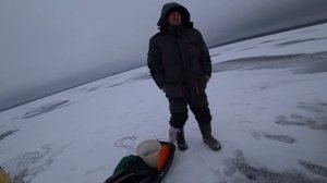 На рыбалку с мотособакой.  Клёв окуня в оттепель, при низком давлении.