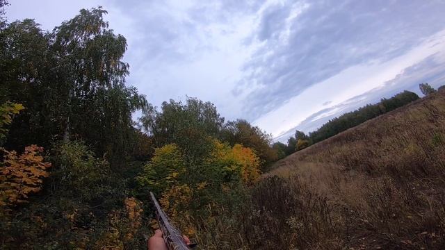 Охота на вальдшнепа с легавой собакой 2022. смотреть онлайн