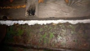 монтажная пена и одноразовый пистолет , запенил Кузов и щели в ангаре