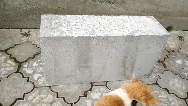 Мой выбор Полистиролбетонный блок, из него буду возводить стены дома