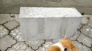 Мой выбор Полистиролбетонный блок, из него буду возводить стены дома