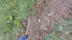 Сажаем картошку в целину  Часть 1