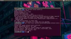 Zsh и Oh My Zsh - настройка тем и плагинов