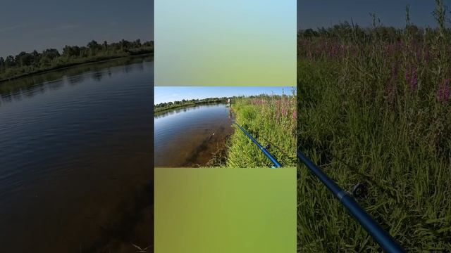 На Волге. Денежный.
