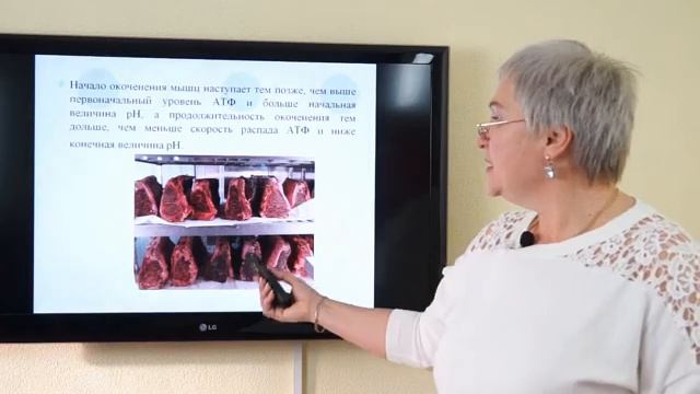 Владимцева Т.М. Изменения в мясе после убоя смотреть онлайн