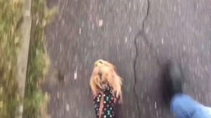 Все о породе-Йоркширский терьер. Стоит ли заводить йорка?