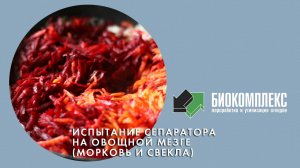 Испытание сепаратора на овощной мезге (морковь и свекла)