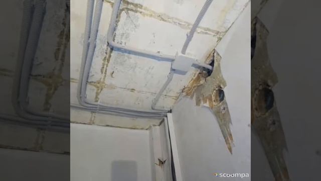 Замена проводки в двухкомнатной квартире. Панельный дом.