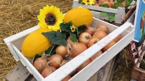 ООО "ДальАгролига". День Поля - 2022 г. с. Загородное, Уссурийский район, 15-16 сентября 2022.