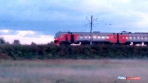 ЧП: нога лошади застряла на железнодорожном мосту