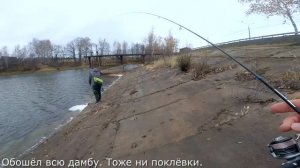 НАНОДЖИГ | Ловля окуня и ротана в Тульской области | Спиннинг Гаммарус (Gammarus)