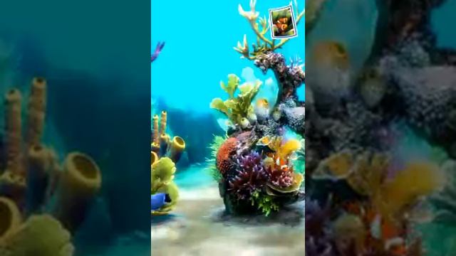 Sim Aquarium 3D.avi смотреть онлайн