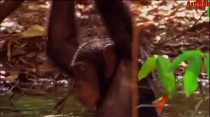 Фильм.......Законы привлекательности..new ..2016