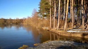 Весна в Курской области.