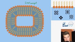 1.2. Происхождение клеток | Теория абиогенеза | Общая биология к ЕГЭ | Георгий Мишуровский