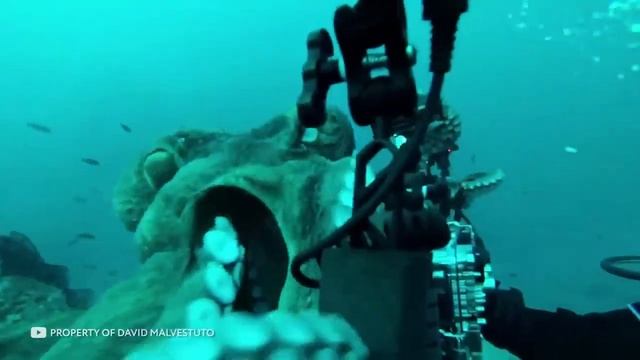 Самые Гигантские Существа, Которых Обнаружили в Глубинах Океана смотреть онлайн