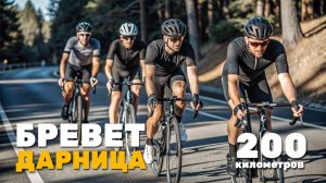 Бревет "Дарница". 200 км.