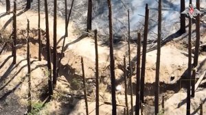 Сдача в плен военнослужащих ВСУ