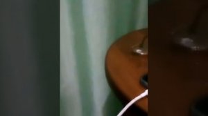 Гнездо для амадинов или попугаев своими руками