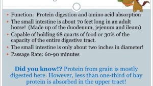 Equine GI System Webinar