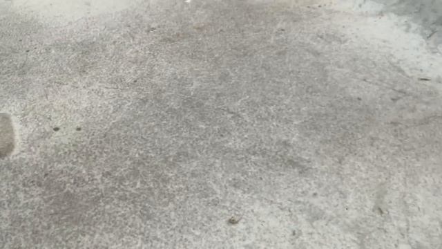 ФИНАЛ! БРОШЕННАЯ на 3 года ваз2114, 2013г, 1 хоз. НОВЫЙ КУЗОВ, САЛОН. Продажа 200+ смотреть онлайн