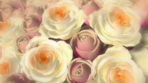 Футаж Розы - Footage Roses