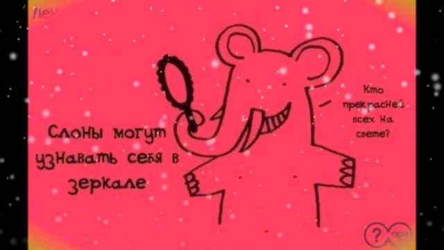 15 необычных фактов о животных смотреть онлайн