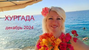 Хургада декабрь 2024 Рождество